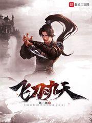 飞刀天武组合视频