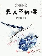 红楼之小夫人+番外