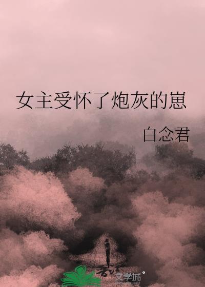 受怀了炮灰的孩子