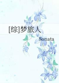 综之梦旅人106兄弟