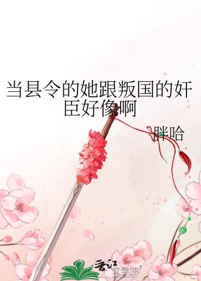 县令碰到皇上不认识是第几集