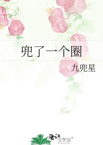 兜了一个圈岑西周承诀100章