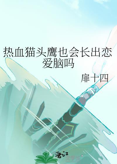 猫头鹰中的猫