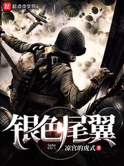 银色车配什么颜色尾翼好看