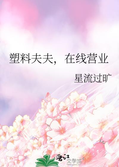 塑料夫夫在线营业(笔趣阁)