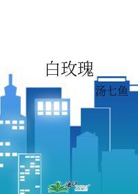 白玫瑰是送给死人的吗