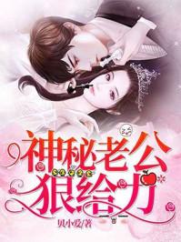 神秘老公宠妻太给力