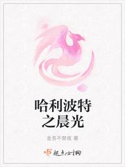 哈利波特之晨光晋江
