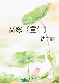 高嫁(重生)作者沈青鲤