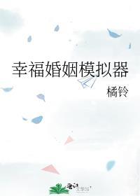幸福婚姻模拟器番外