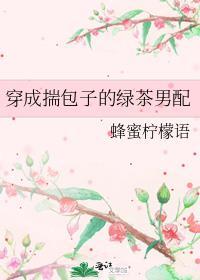 穿成揣包子的绿茶男配免费阅读全文