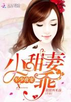 贺宁沈璟煜目录