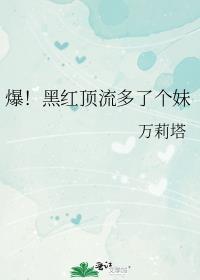 黑红后我成了顶流