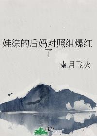 在海岛当后妈养娃对照组