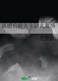 离婚后前夫总是想追我;虐妻一时爽