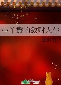 小丫鬟的敛财人生鹿时宜笔趣阁