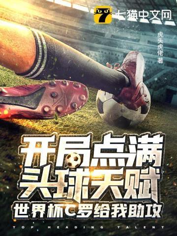 世界杯足球比赛c罗进球