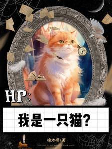 我是一只小猫咪by