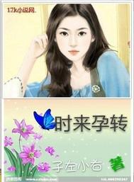 时来孕转短剧免费观看完整版
