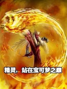 精灵宝可梦之山巅之上