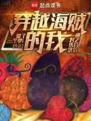 穿越海贼的我对铁块迷之自信无错