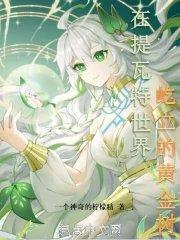 提瓦特游览指南收集