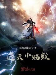 小蚂蚁报价