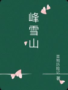 康美龙峰雪山