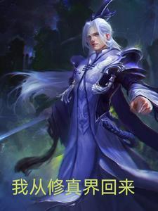 我从修真界回来了txt