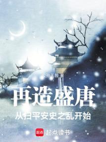 再造盛唐从扫平安史之乱开始笔趣