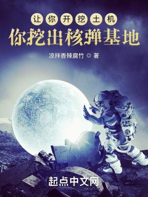 我要挖土机的视频