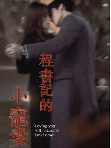 书记的