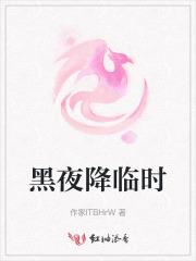 黑夜降临讲的是什么
