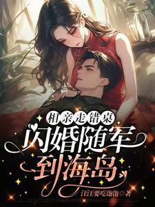 相亲相错人惹上军长大人