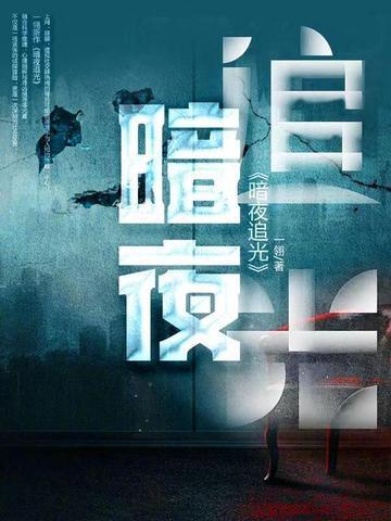 暗夜追光40集全免费观看无弹窗