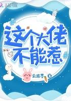 这个大佬不一般