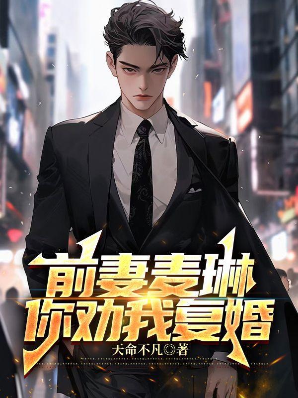 前妻麦琳你劝我复婚