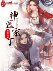 主人公丁宁描写神医的