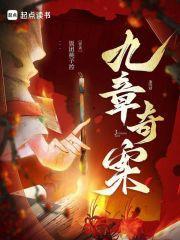 九章奇案饭团无防盗