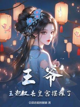 王爷王妃又去打劫了免费无弹窗
