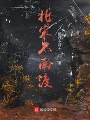 宋朝南渡的历史
