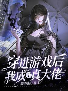 穿进破解游戏后我成了大佬完结