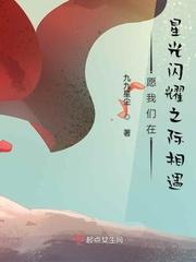 星光在闪耀是什么歌