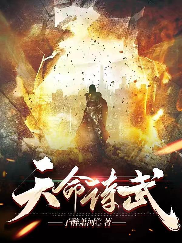 天命双武系统