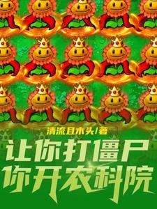毁灭加子弹