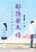 夫人天天都要离婚