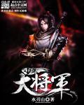 少年大将军全集完整版