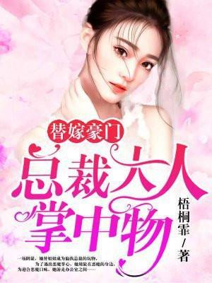 替嫁豪门总裁大人掌中物 第4章