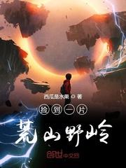 捡了一片荒野女主角