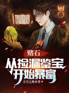 捡漏赌石王
